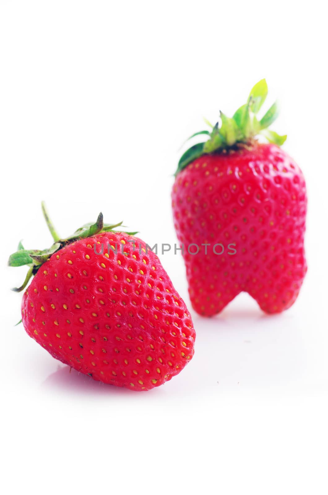 Healthy red strawberry fruit  isolated on the white background 