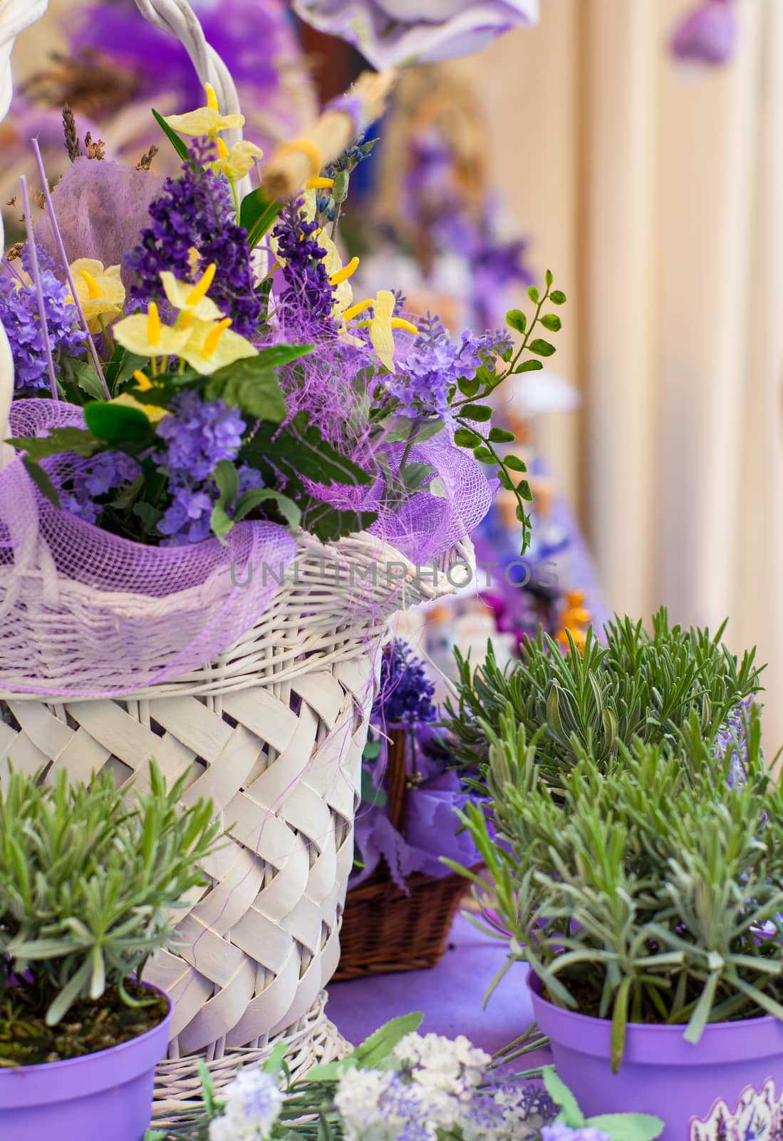 Close up of lavender flowers in the fiorist shop