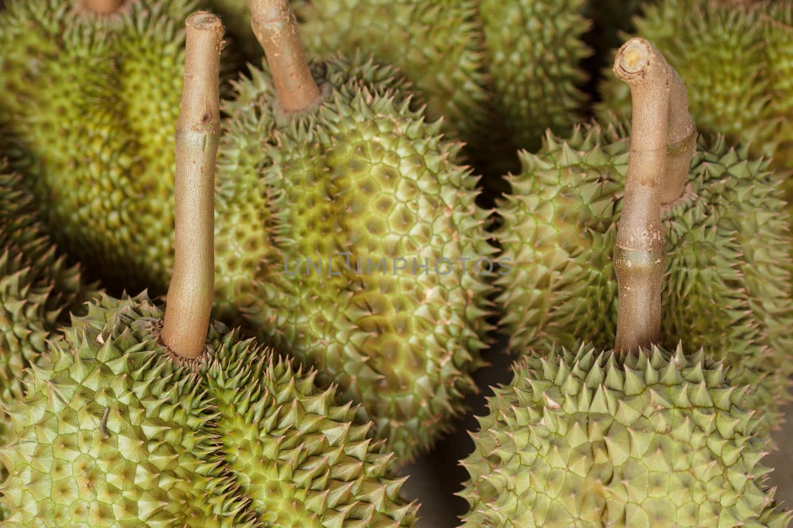 Durian