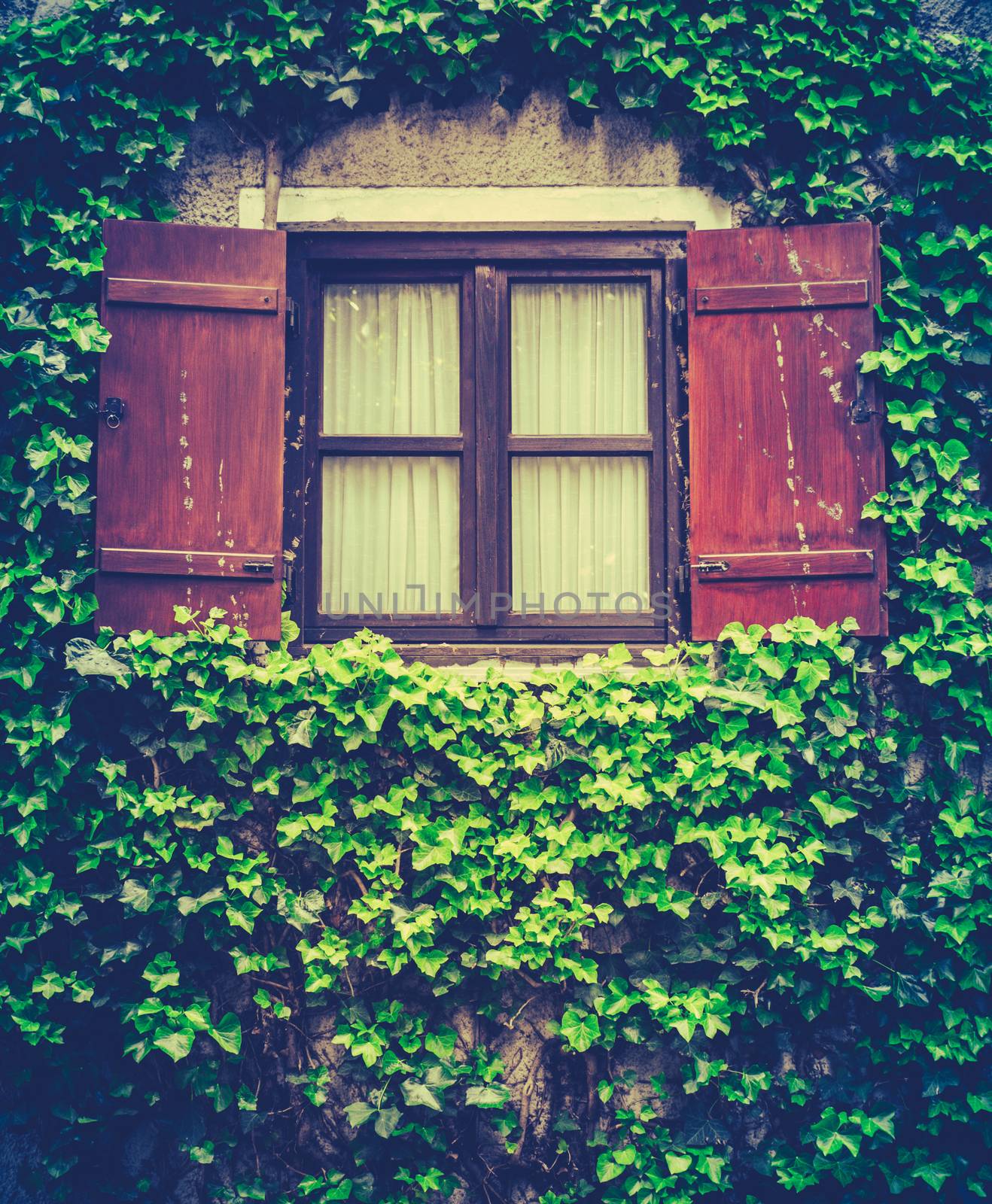 Retro Style Photo Of Shutters On A Window On A House Covered In Ivy