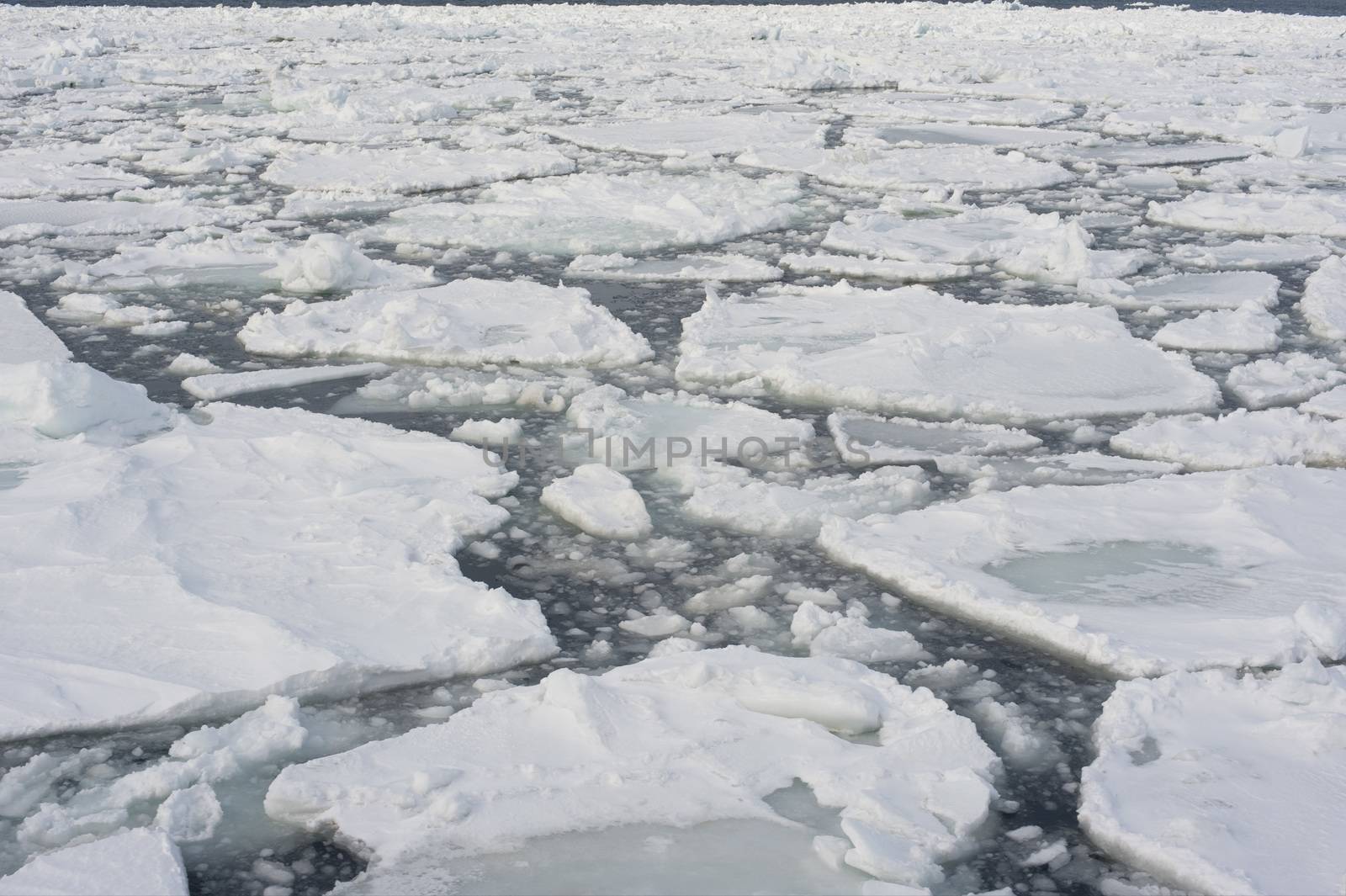 Drift ice in Abashini, Japan which has broken away from the shore or glaciers in small floes which can be driven into a dense mass by the wind to form pack ice , as viewed from the Aurora icebreaker