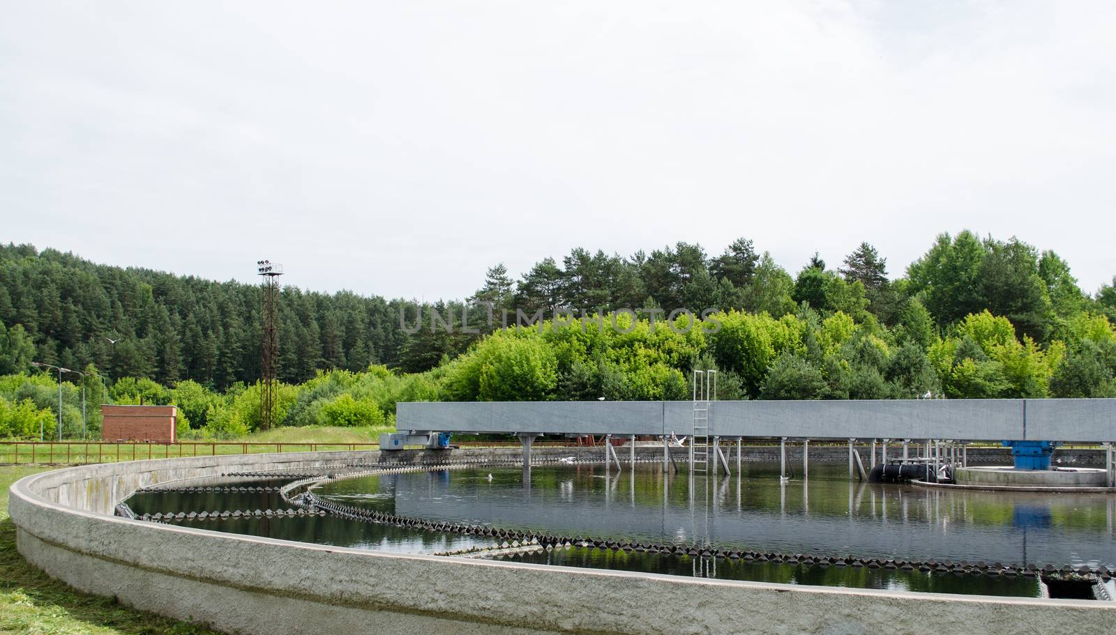 Reservoir of cleaned sewage water clarification step in treatment waterworks. Birds swim.