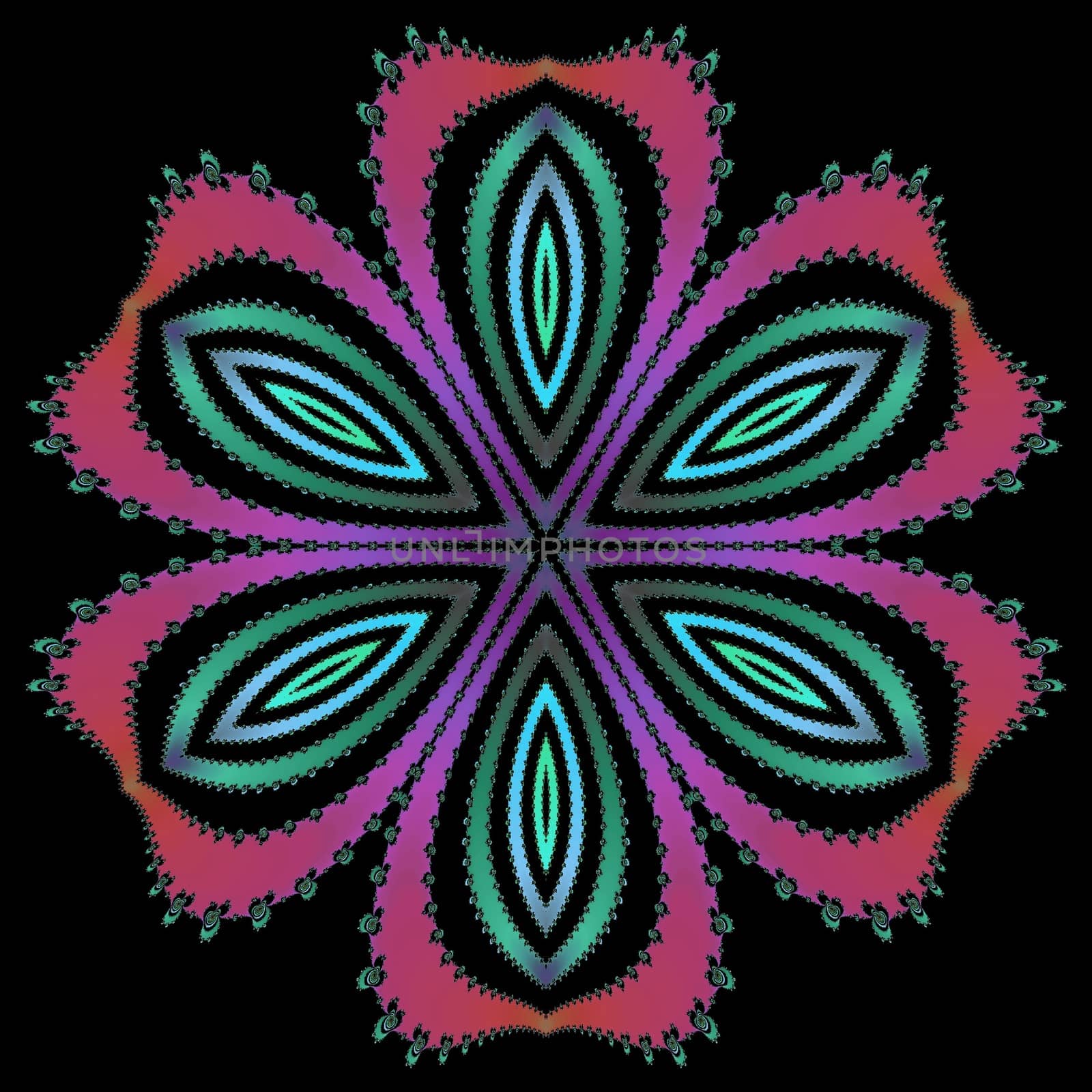 Digital computer graphic - patterned fractal flower on a black background for design.