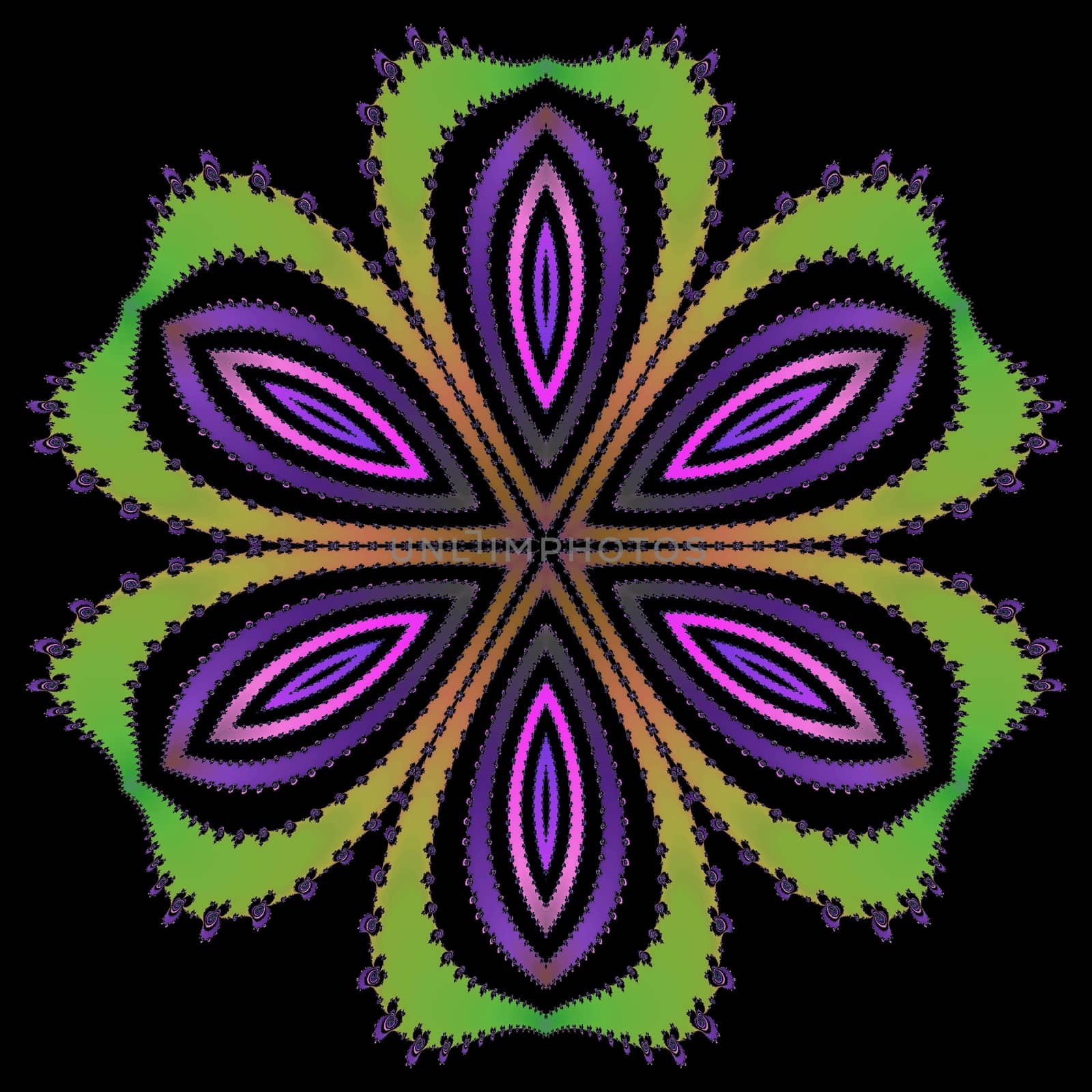 Digital computer graphic - patterned fractal flower on a black background for design.