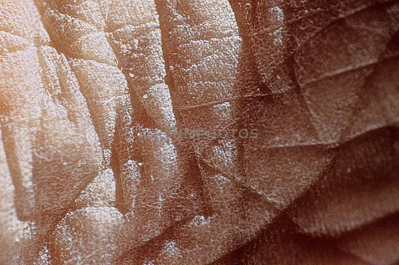 Foot Sole 085 - Close-up on the sole of an adult human foot.