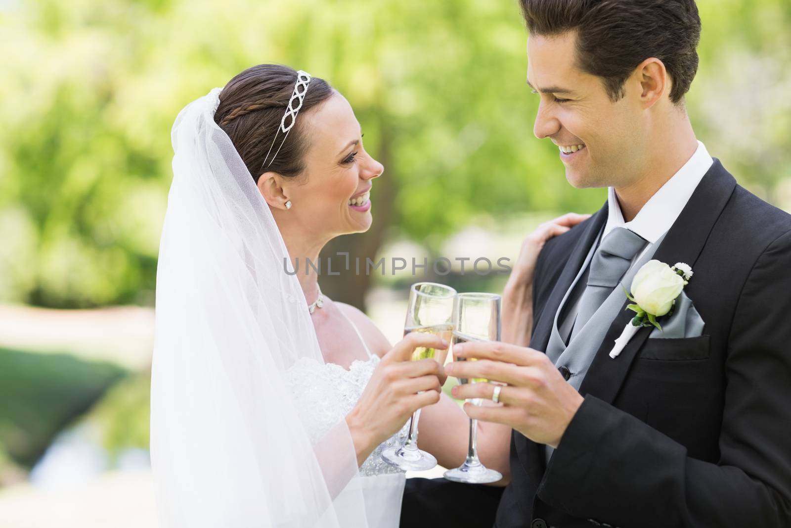 Newlywed couple toasting champagne in park by Wavebreakmedia