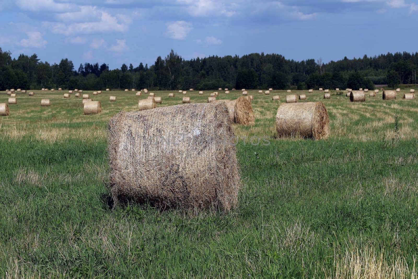 The Latvian countryside