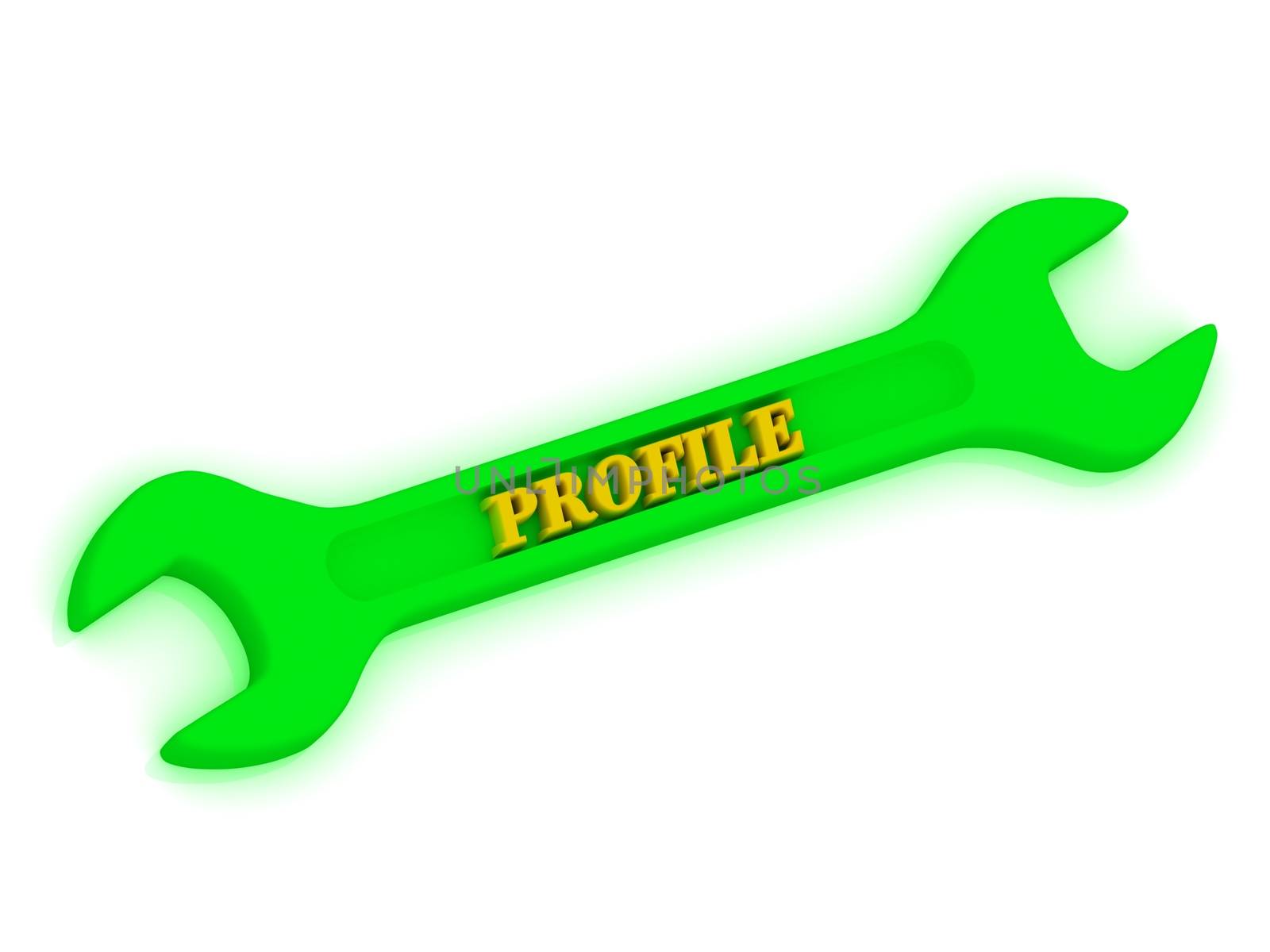 PROFILE span Inscription bright volume letter on metallic building spanner green colour. Isolated on white background