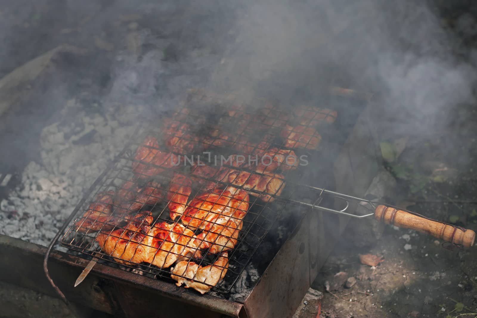 Barbeque fried on the bonfire and coals