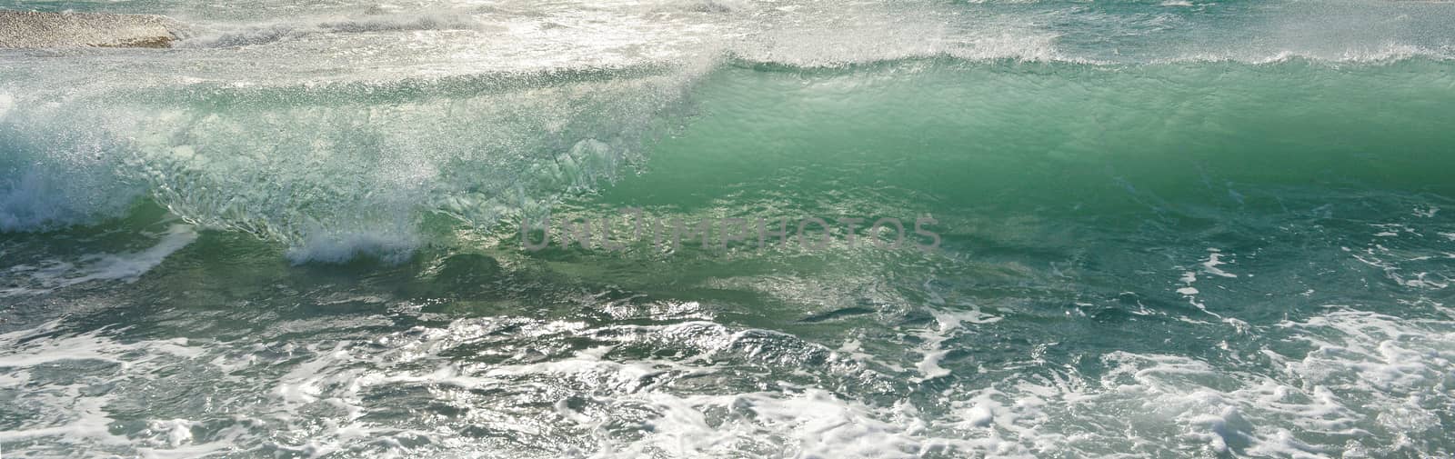 Transparent sea wave