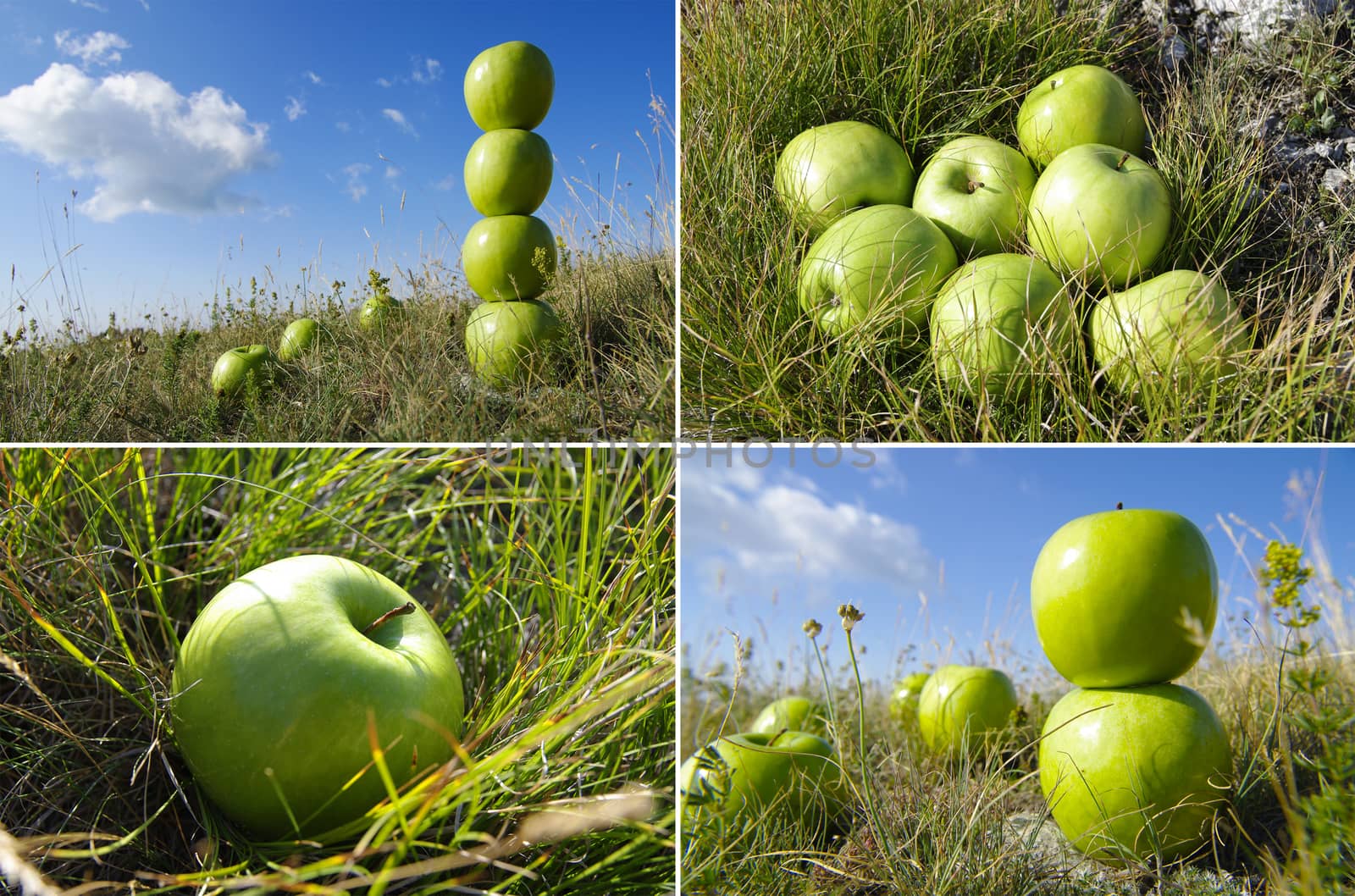 View of green apples on the grass