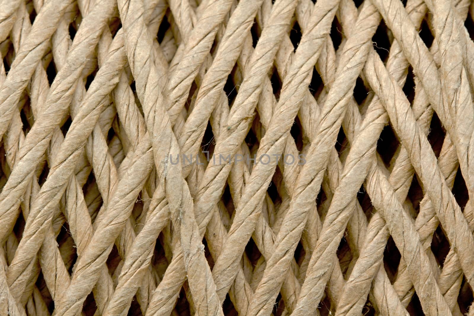 Photo shows detail of a nature rope.