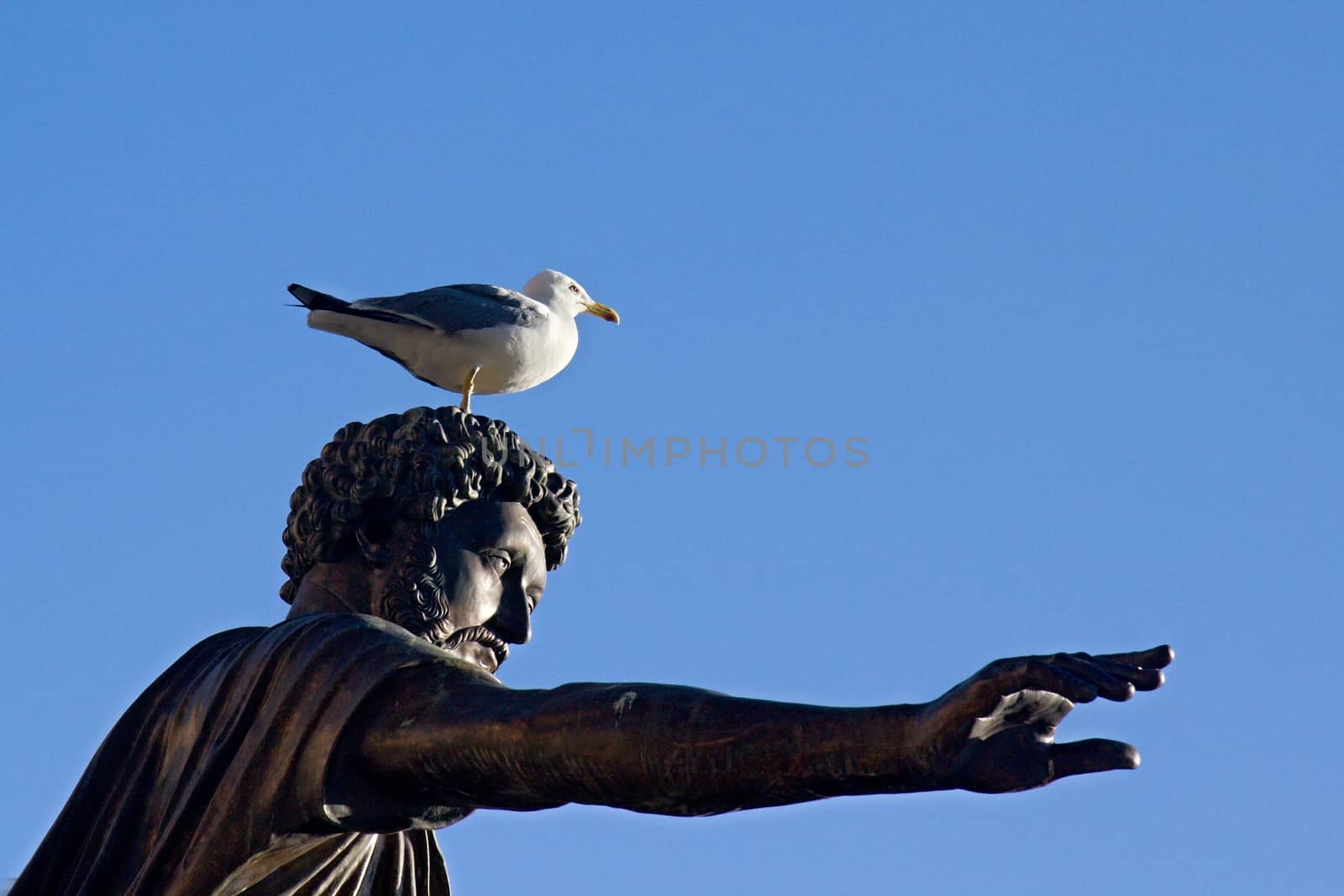 Photo shows details of city statue in the park.