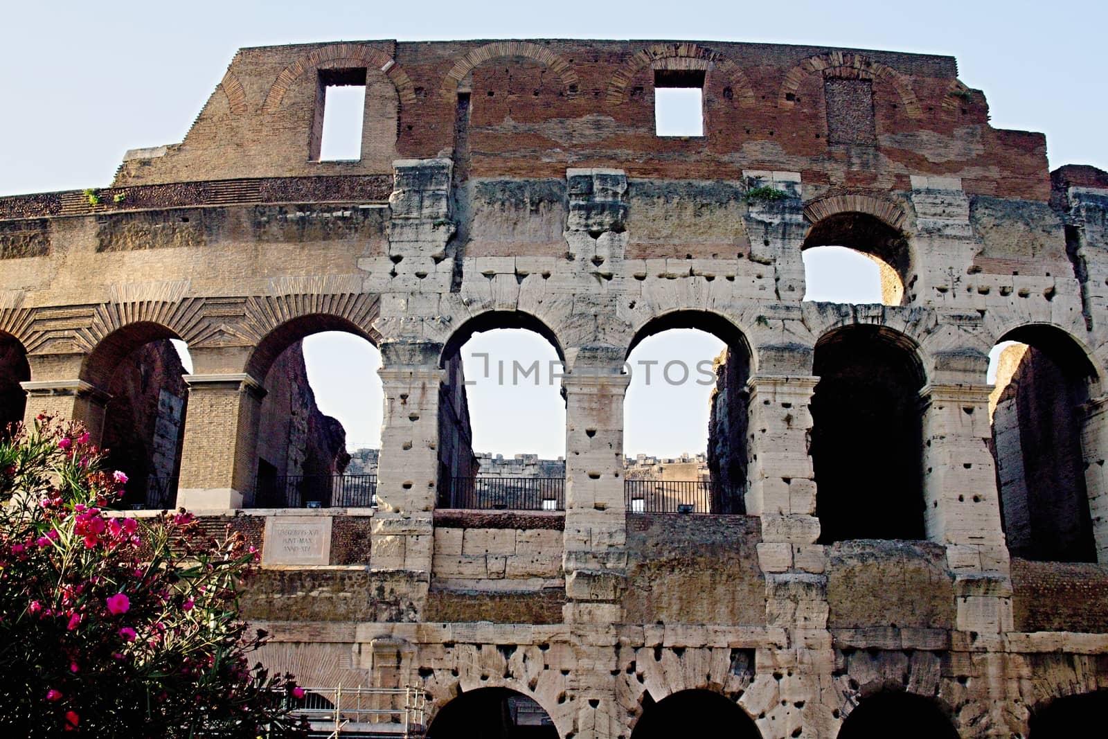 Rome empire colloseum by Dermot68