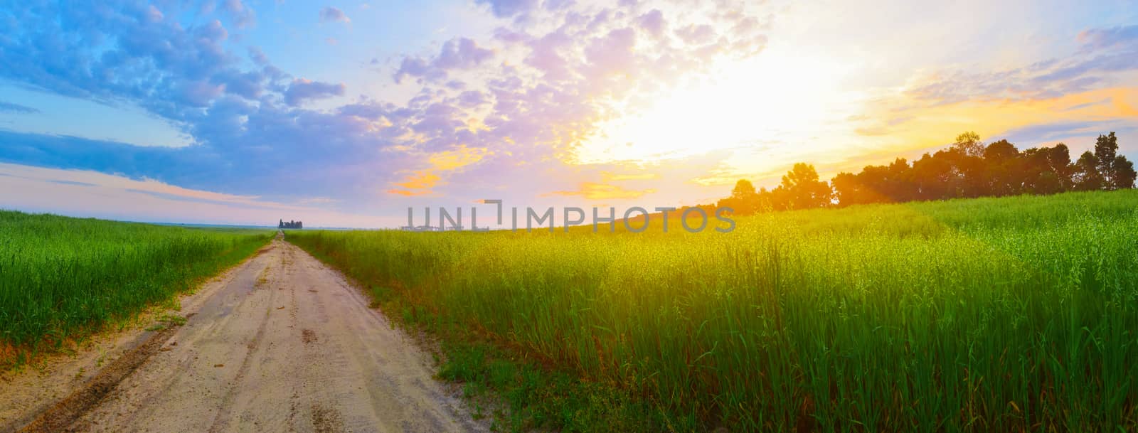 Landscape with sun and country road