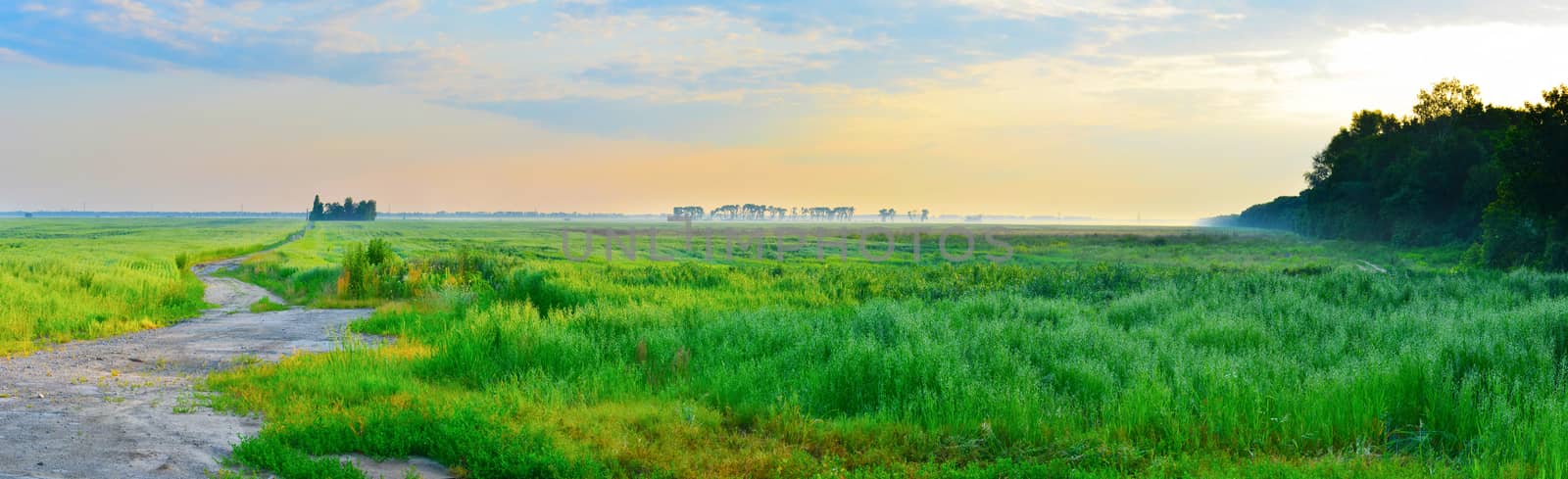 Panoramic landscape