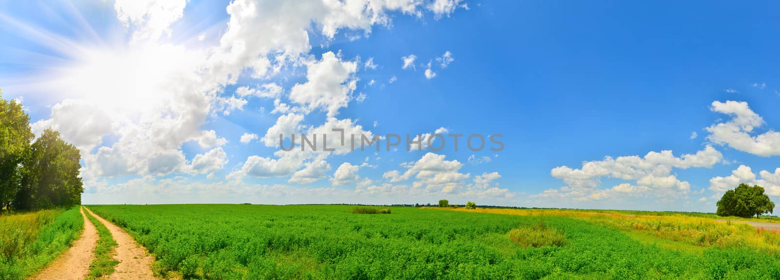 Landscape with sun and country road