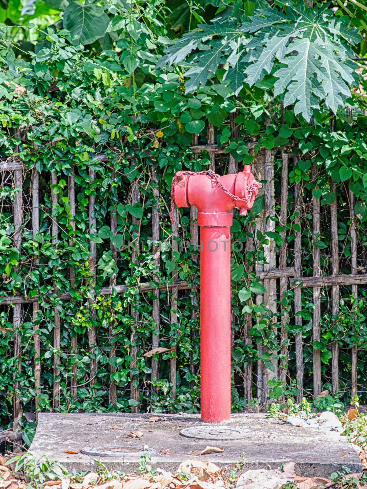 Red fire hydrant beside fence in rural of Thailand 
