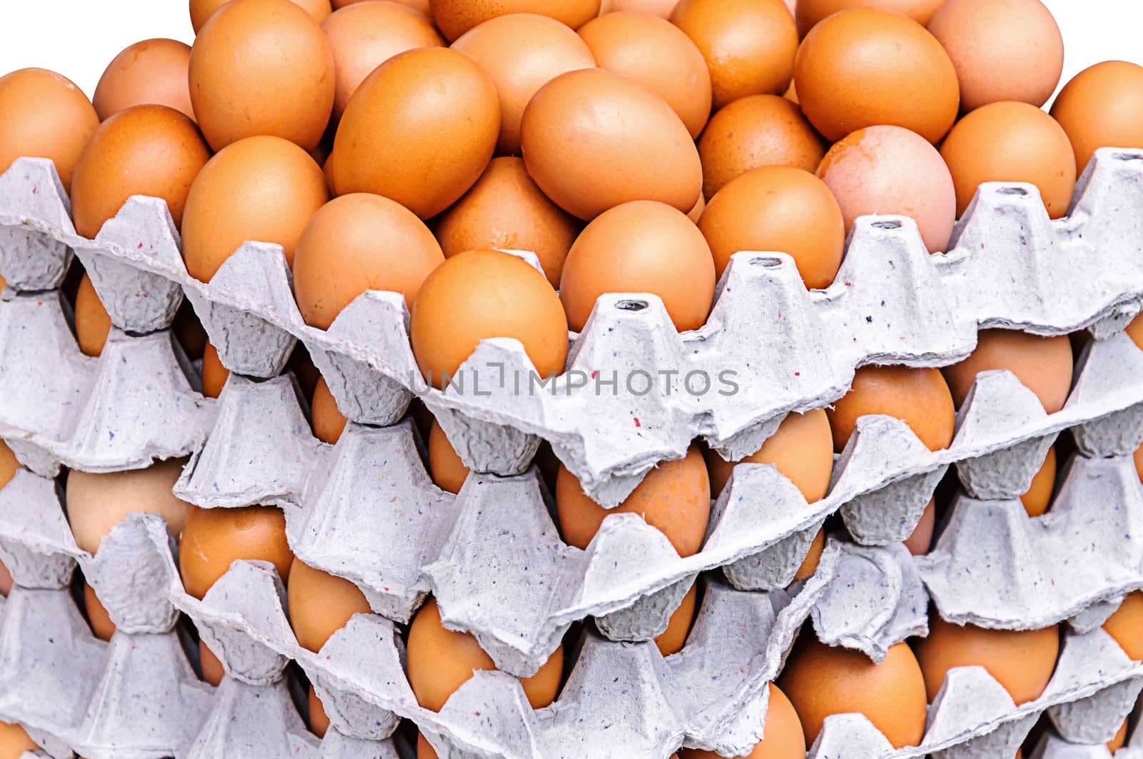 Chicken eggs in  paper tray 