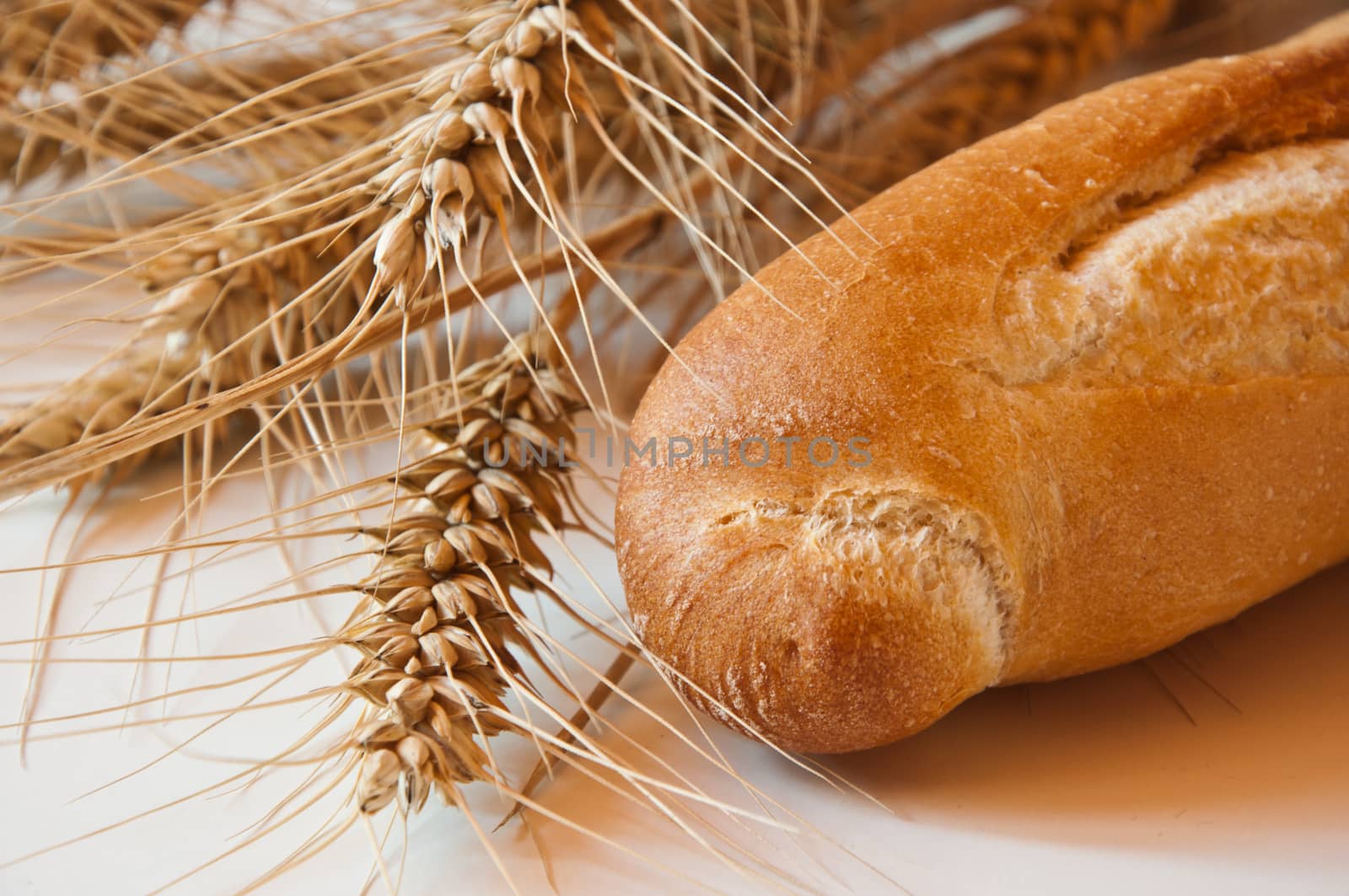 bread and dried wheat closeup