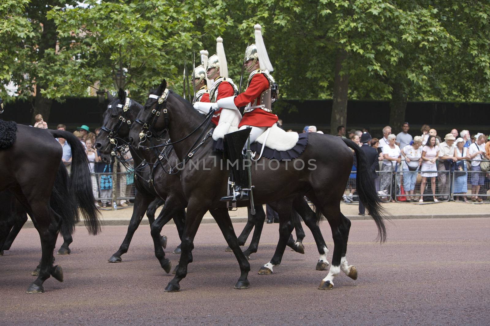 Trooping of the Colour Queen's Birthday in London by instinia