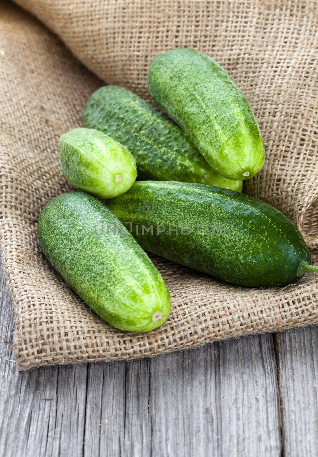 cucumbers on the wooden background by motorolka