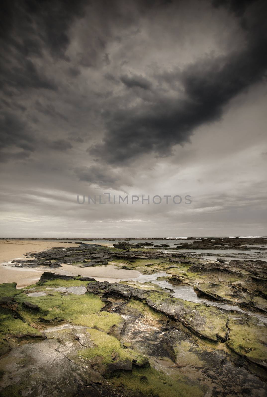 Storm clouds over Little Bay by lovleah