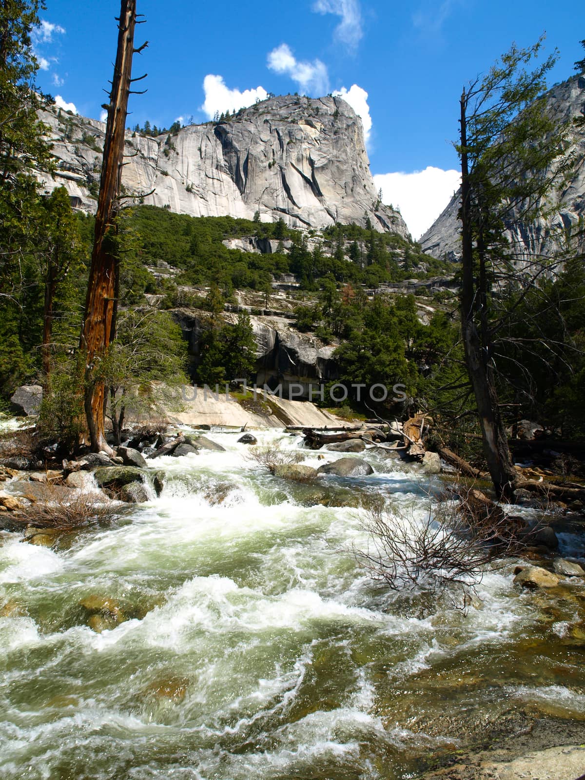 Wild river in Yosemite National Park by pyty