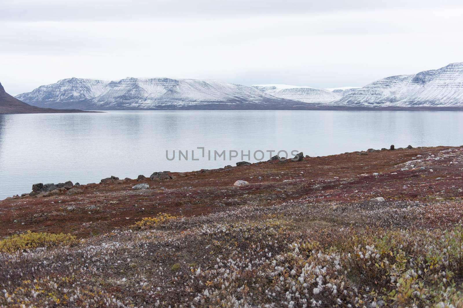 Arctic landscape in Greenland in late summer and early autumn with snowy mountains and ocean