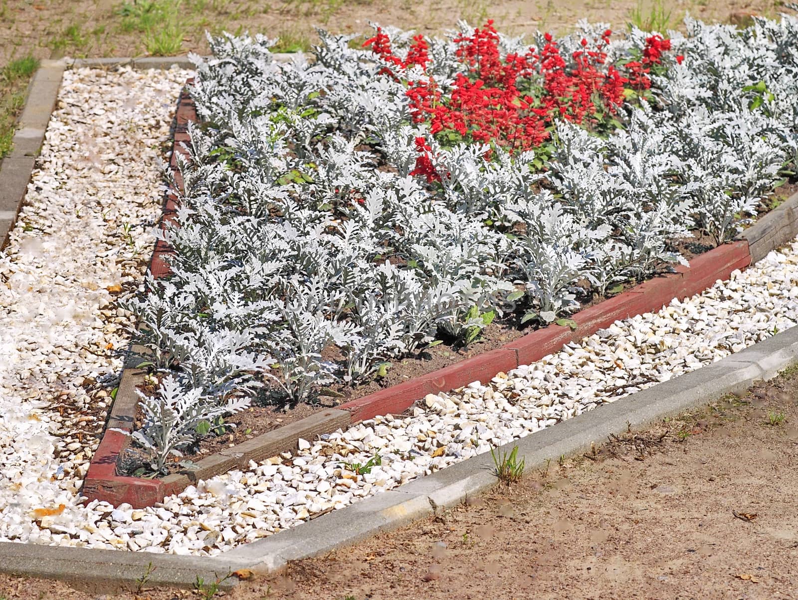 flowers on a bed in the Park