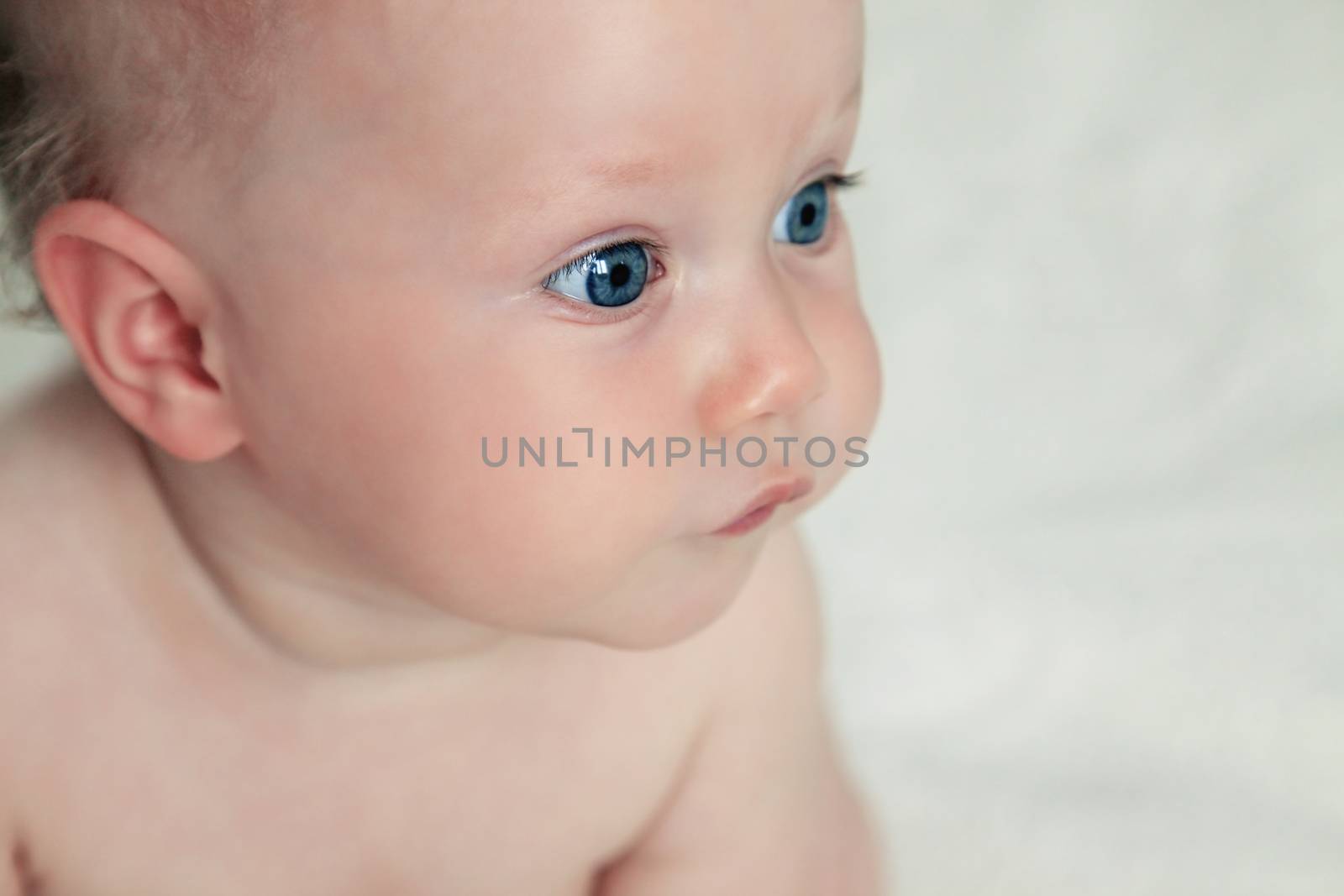 Beautiful small kid girl in studio