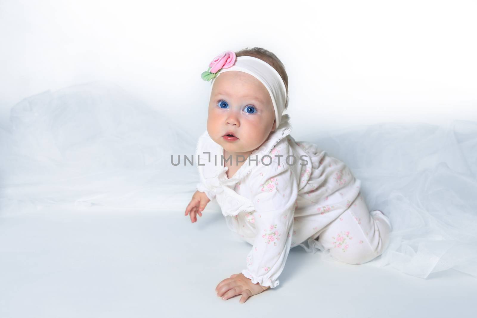 Beautiful small kid girl in studio