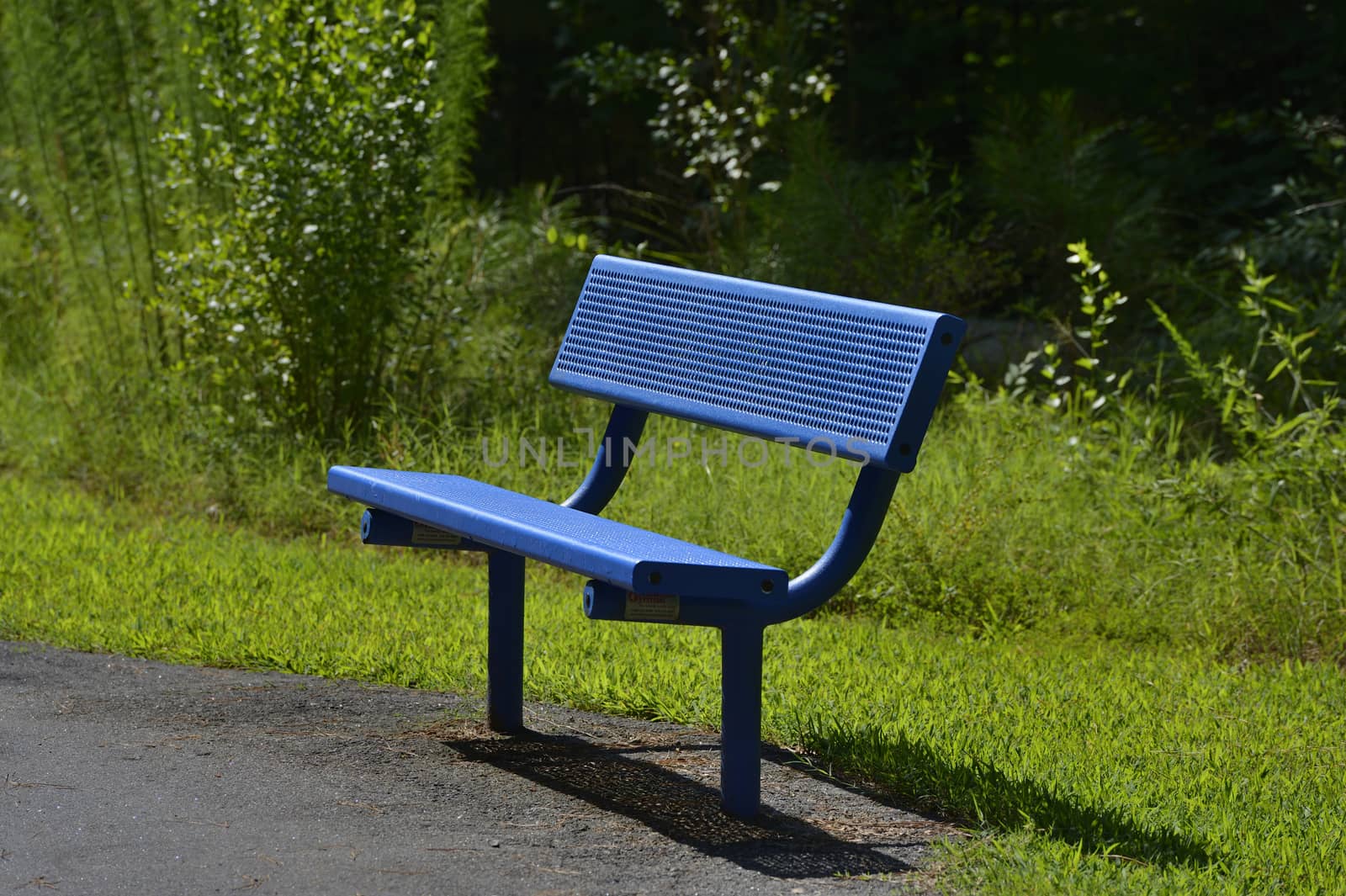 A wooden bench in lush green parkland in summer