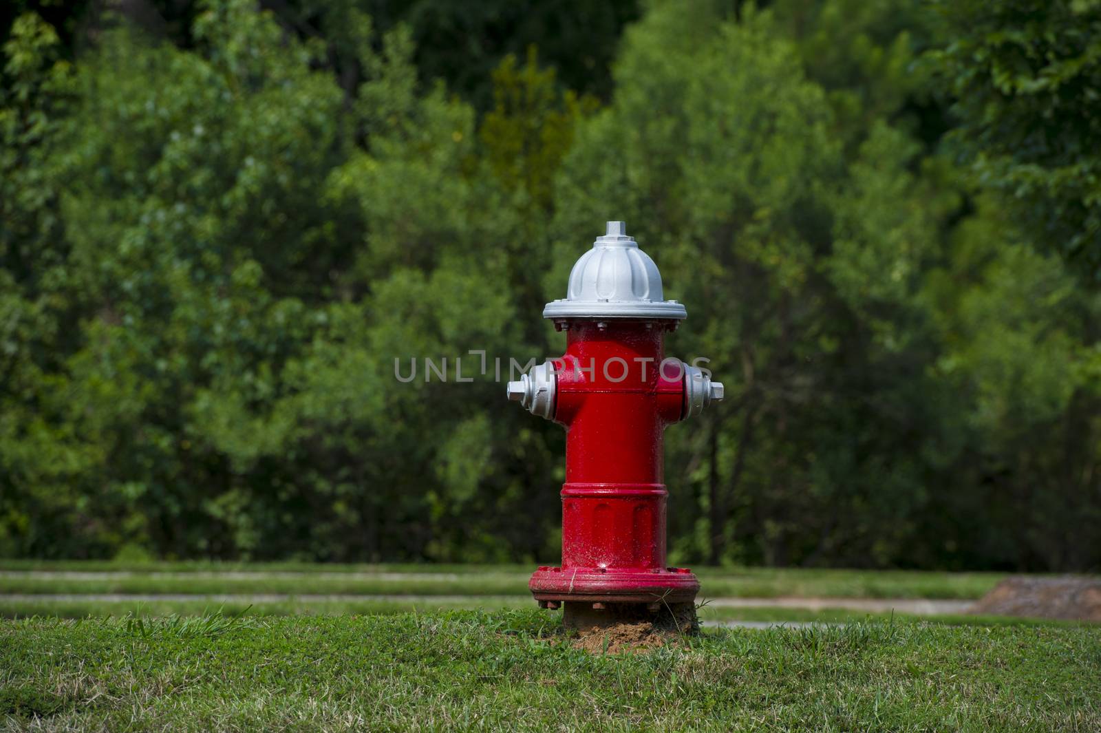 A red fire hydrant at a local park