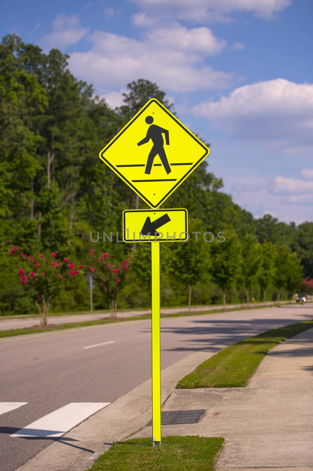 Pedestrian sign in a sunny day at a local road