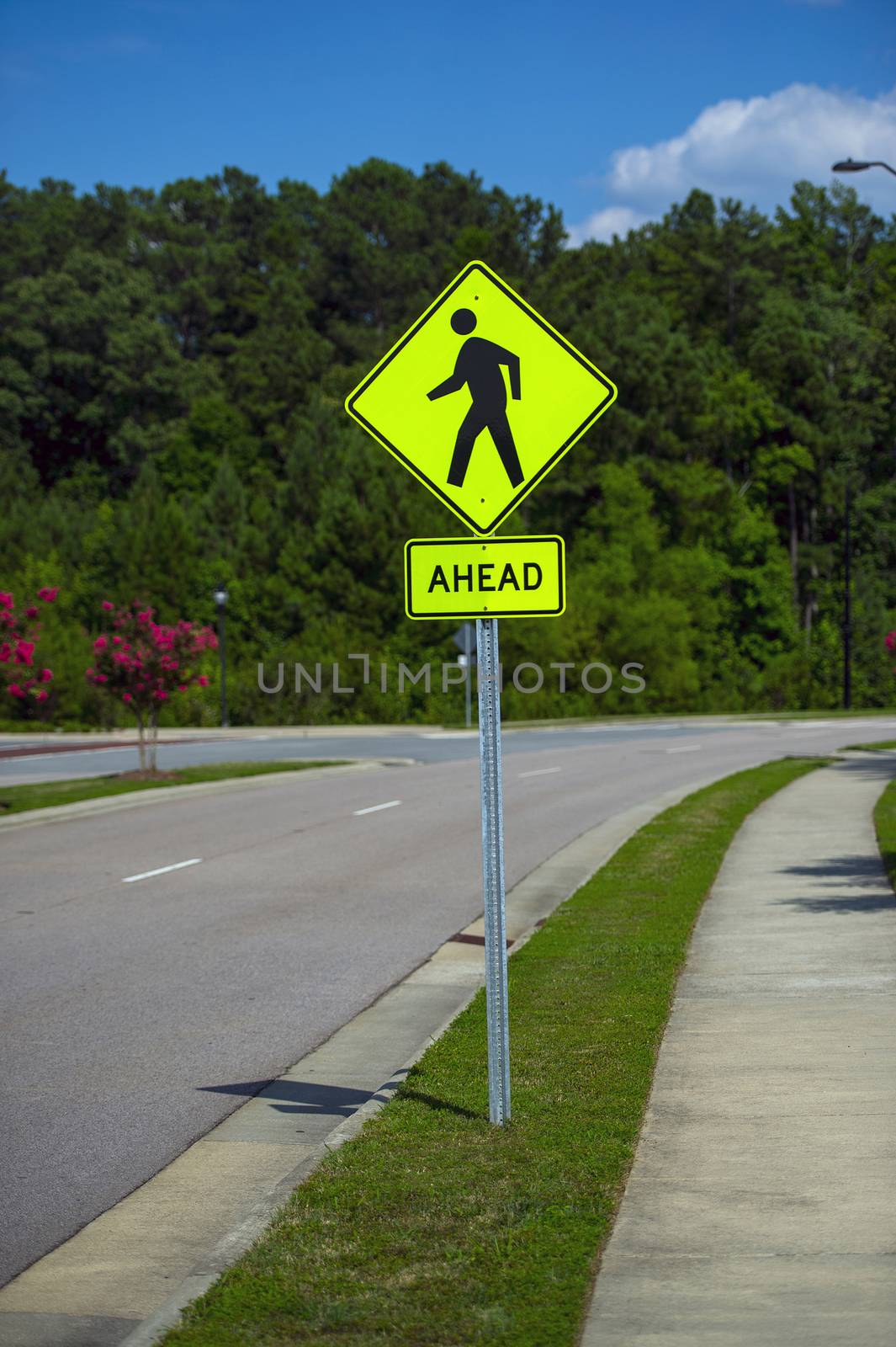 Pedestrian sign in a sunny day at a local road