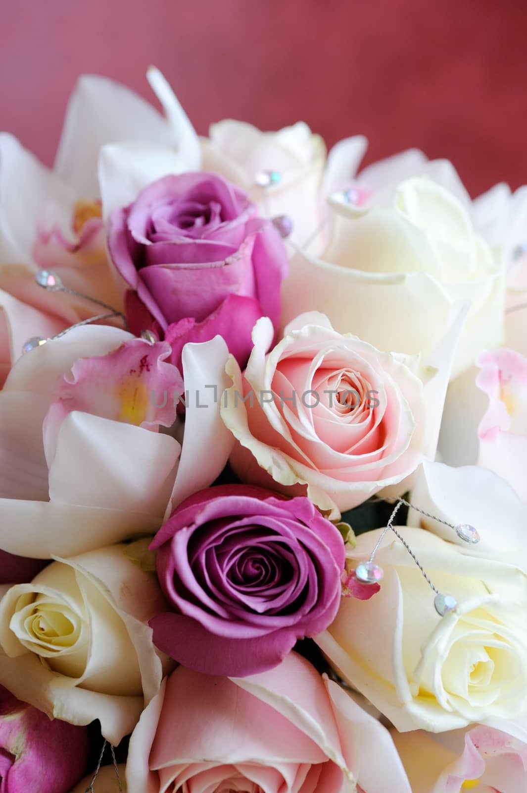 Brides bouquet, pink roses