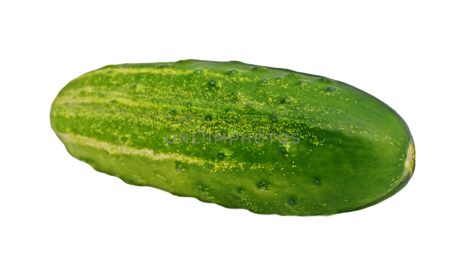 Organic cucumber on a white background.