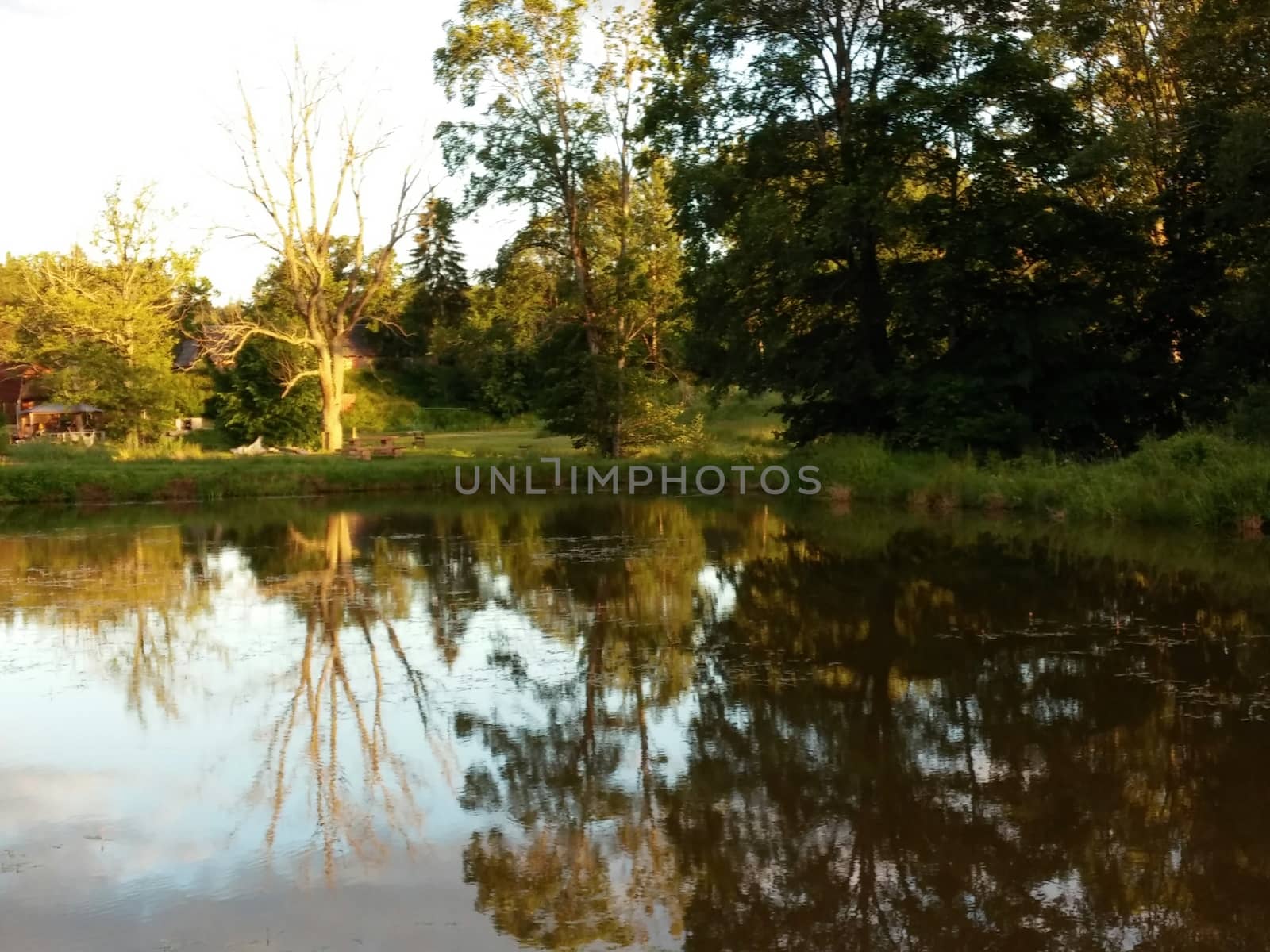 Idyllic forest path by the lake in autumn