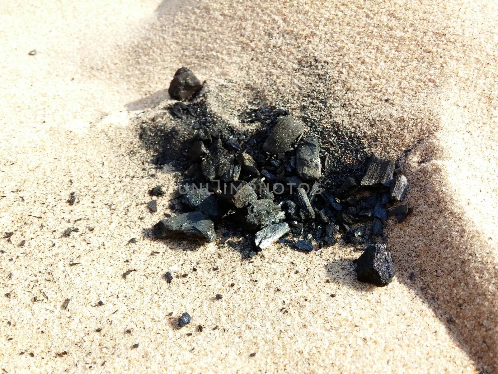 Burned Log on Sand Baltic Beach coal