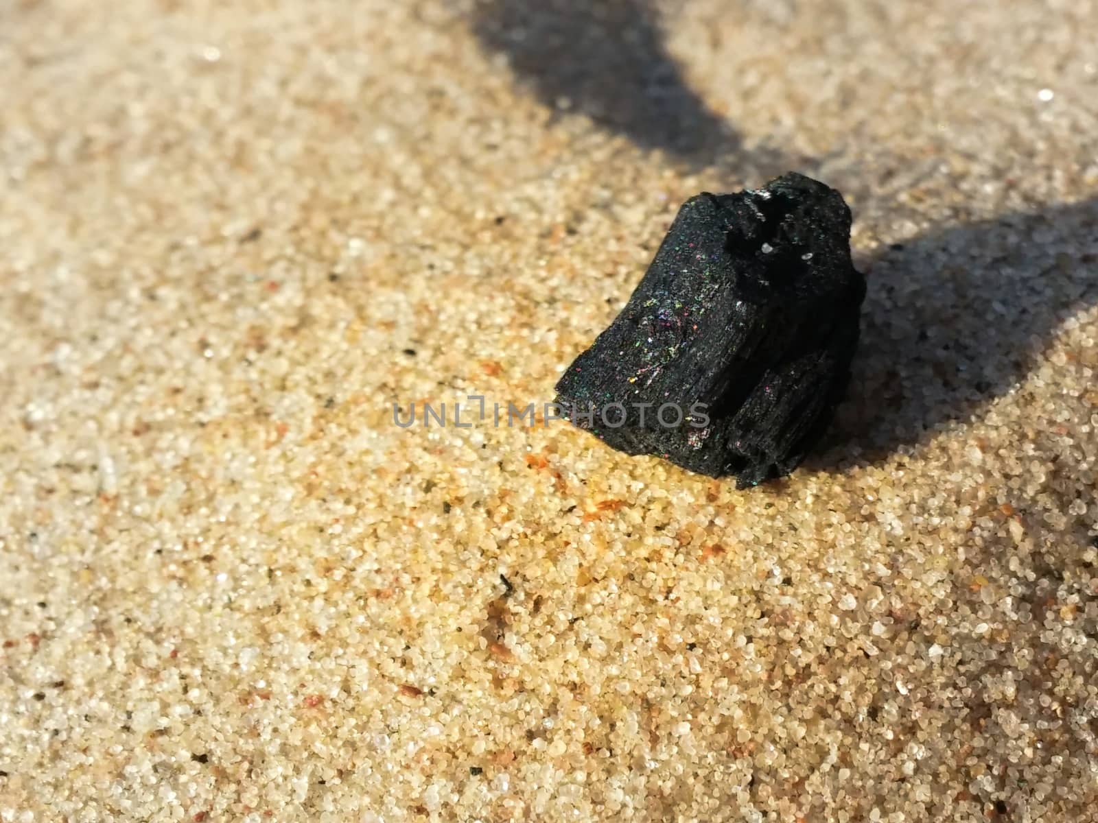 Burned Log on Sand Baltic Beach coal