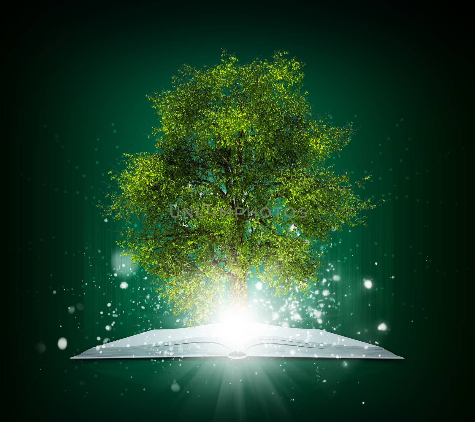 Open book with magical green tree and rays of light on dark background