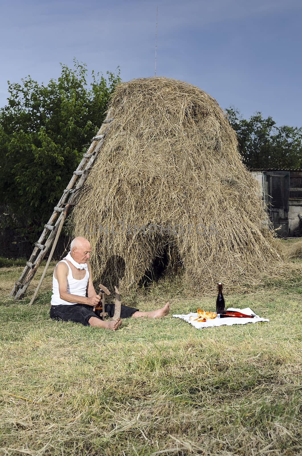 Senior farmer using scythe to mow the lawn traditionally.