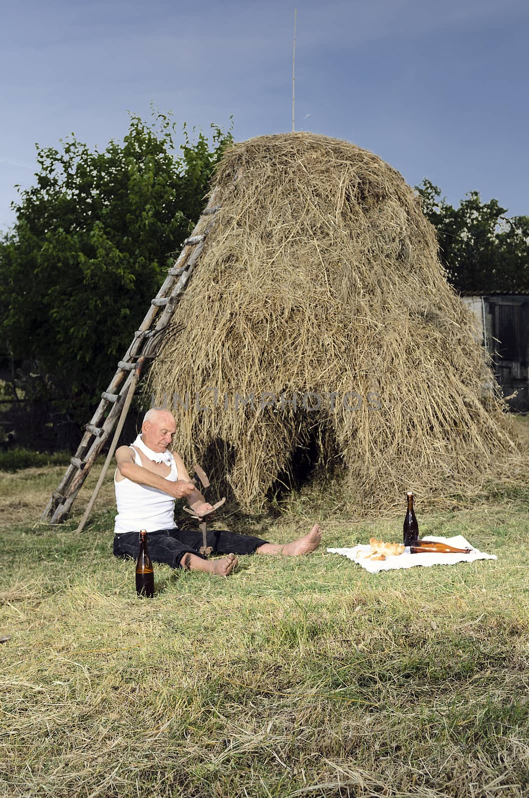 Senior farmer using scythe to mow the lawn traditionally.