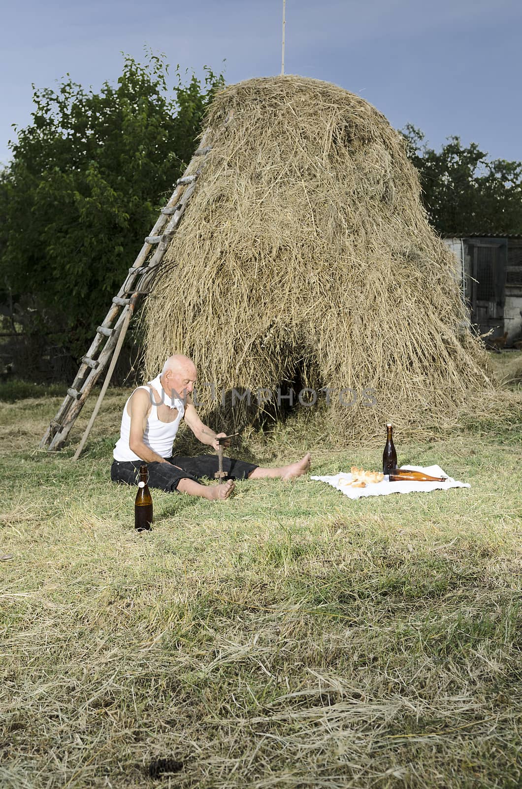 Senior farmer using scythe to mow the lawn traditionally.