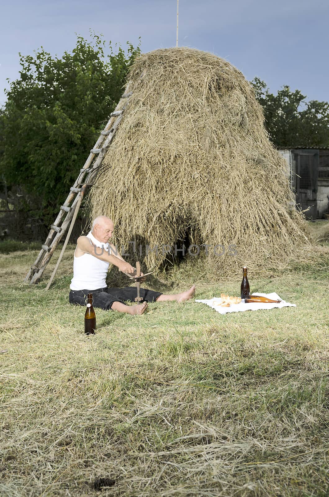 Senior farmer using scythe to mow the lawn traditionally.