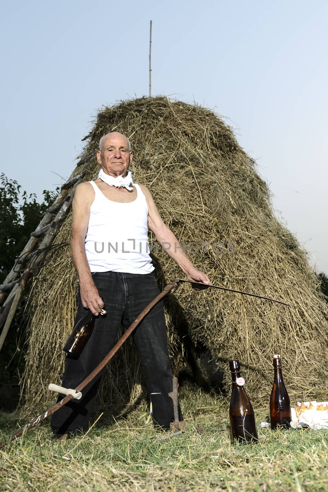 Senior farmer using scythe to mow the lawn traditionally.