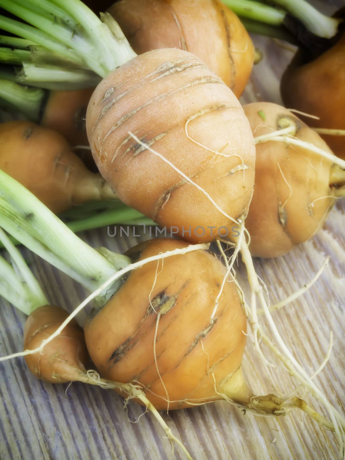 Rounded carrots