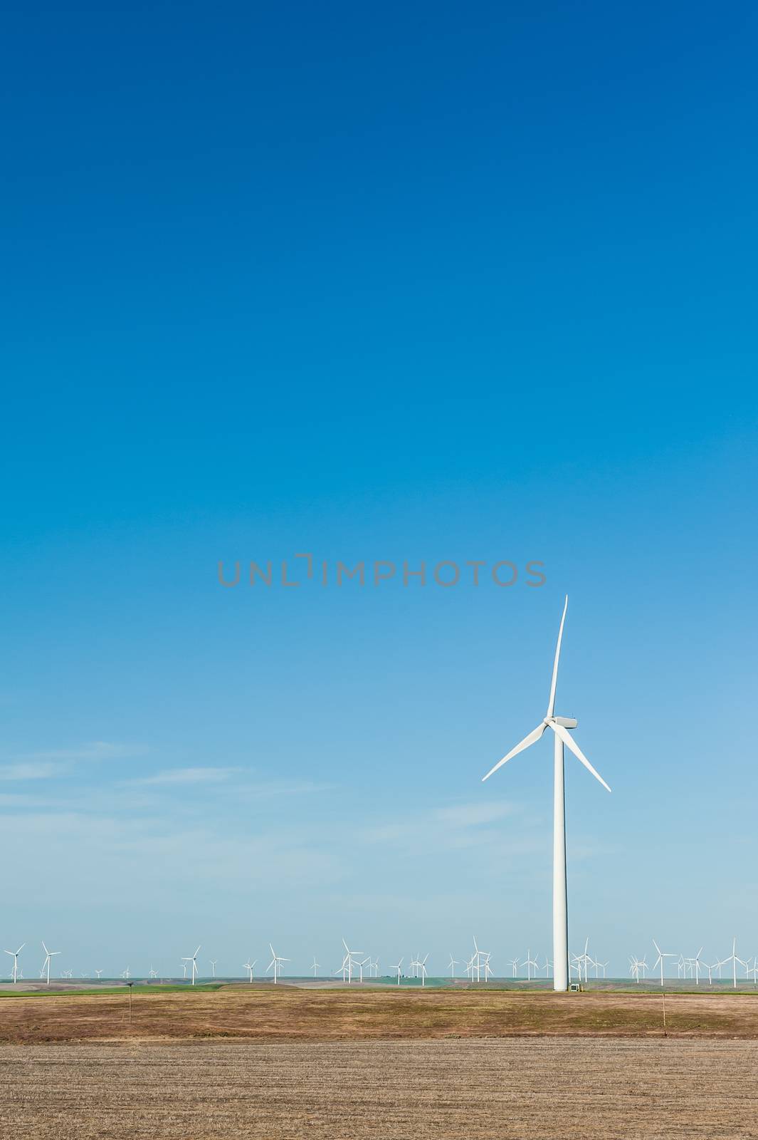 Sustainable wind energy generators against blue sky; renewable e by chentim