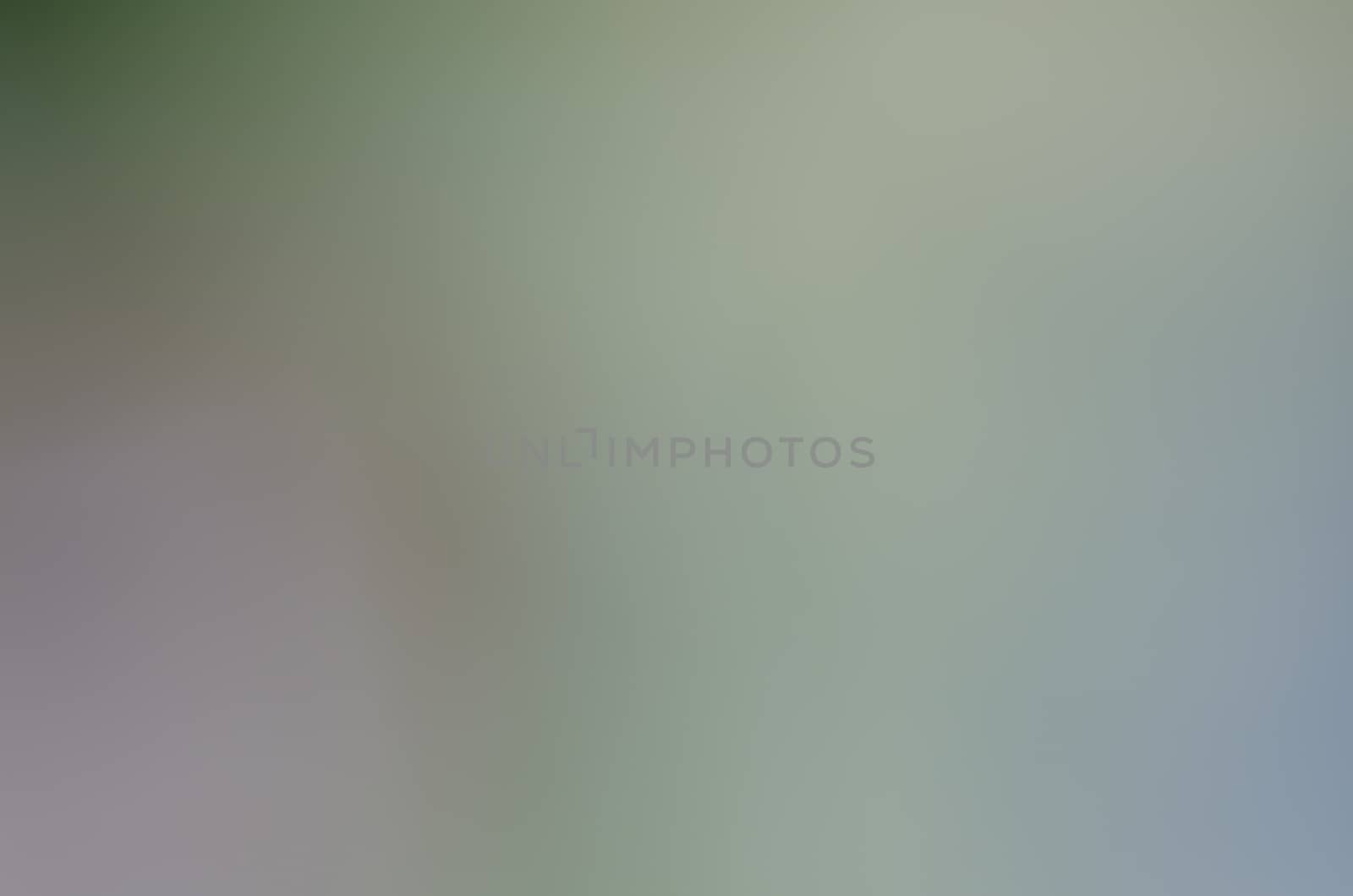 Defocused abstract texture background for your design
